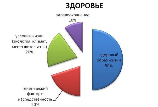 Диаграмма на тему здоровый образ жизни